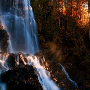 Meet your Posher, Roberta